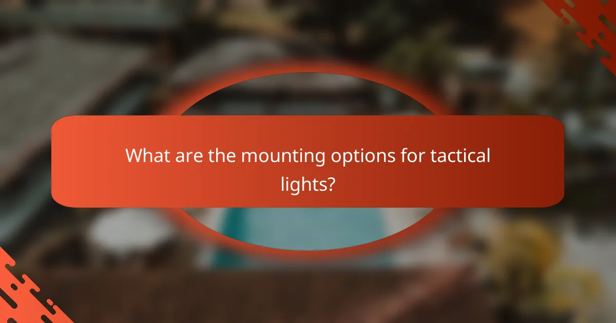What are the mounting options for tactical lights?